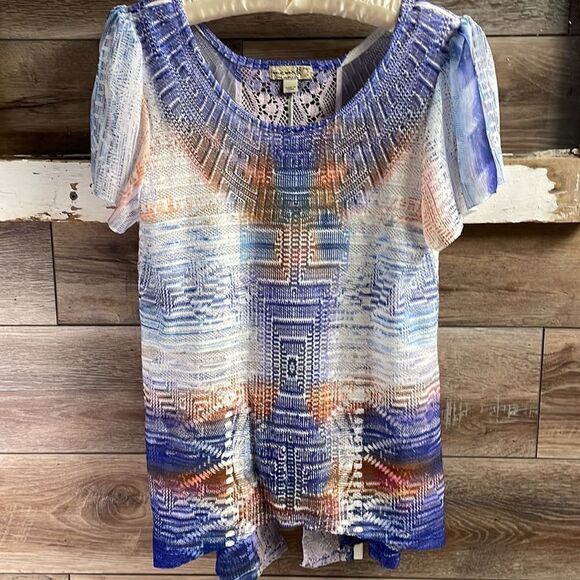 One World Ladies Sheer Blouse , Size Petite Small, Multicolor - Picture 1 of 7